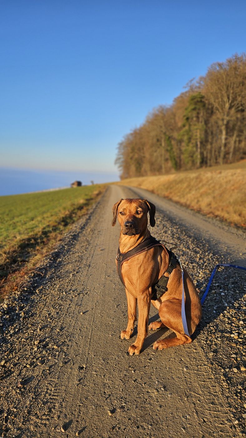 Ayana sitzt im Abendlicht auf einem Feldweg