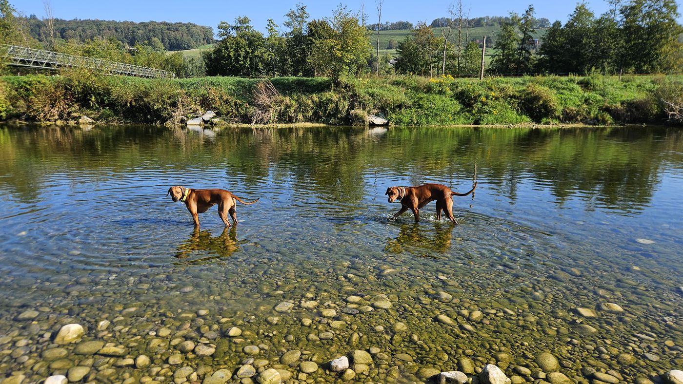 Ekhaya und Ayana waten gemeinsam durch ein flaches, klares Gewässer