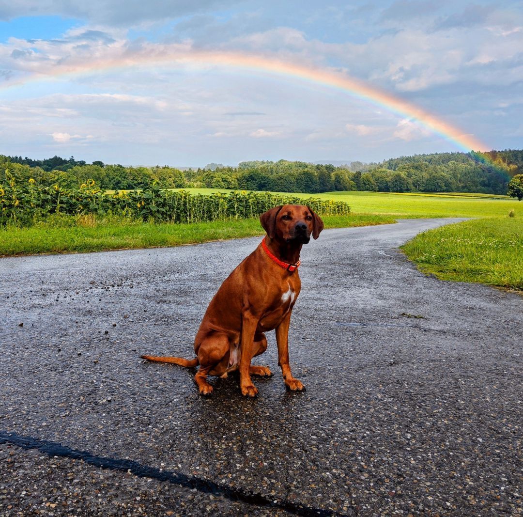 Ekhaya sitzt unter einem Regenbogen