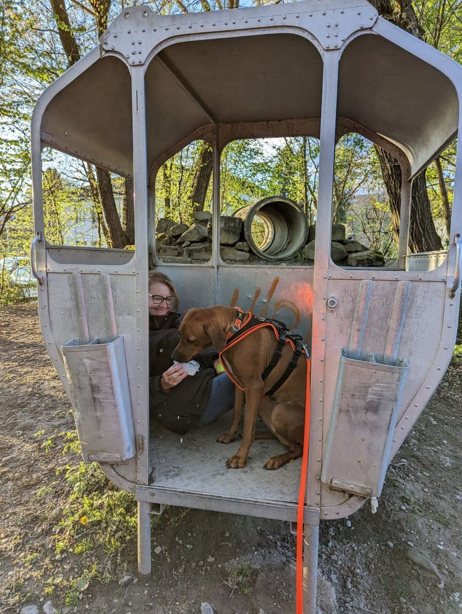Hund und Mensch am Findepunkt in einer alten Gondel