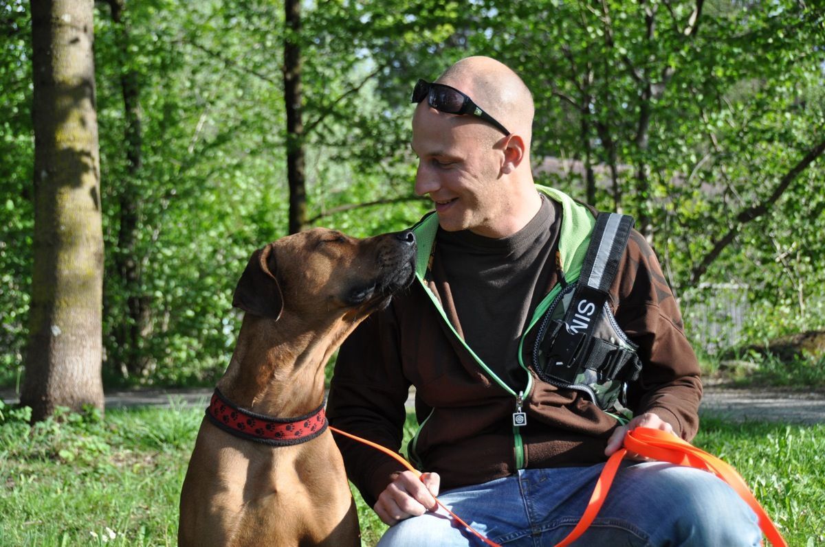 Thomas beim Mantrailing mit seinem Ridgeback